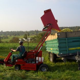 iztresalo dvizno